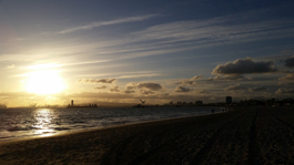 Granada Beach & Downtown Long Beach, Sunset & Bird